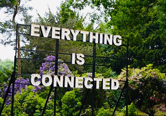 How Your Skin Is Connected To Everything