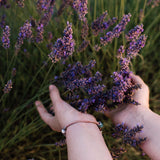 Lavender Vanilla | Aluminum Free Deodorant
